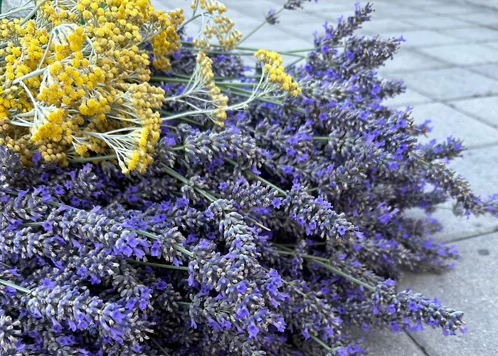 Casa Bella Appartamento