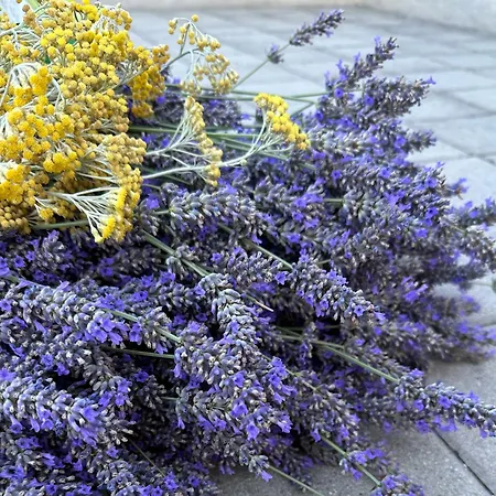 Casa Bella Apartamento